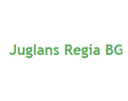 FRUIT NURSERY JUGLANS REGIA BG LTD